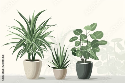 Elegant set of minimalist potted plant illustrations  perfect for interior design and home staging concepts