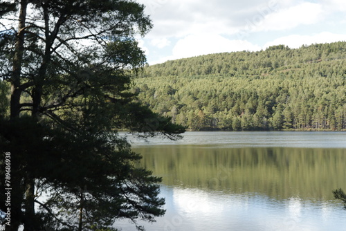 LOCH AN EILEIN CASTLE.  AVIMORE. SCOTLAND  ENGLAND  EUROPE