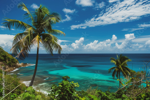 caribbean landscape, summer time © Olivia