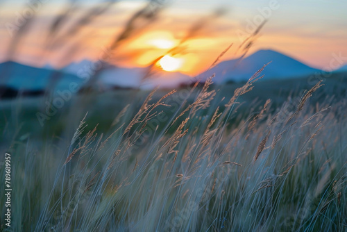 Experience the Subtle Movements of Nature: Sunset Over a Grassland with Distant Mountain Silhouettes, Blurred Foreground Grass Sensing the Wind — A Captivating View