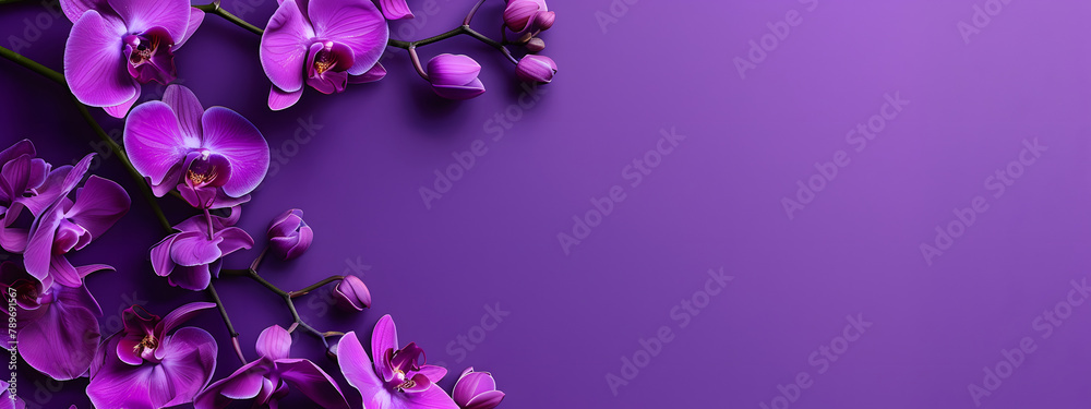 Purple orchids border a frame on a purple background with copy space. in a flat lay top view Purple orchids border a frame on a purple background with copy space. in a flat lay top view