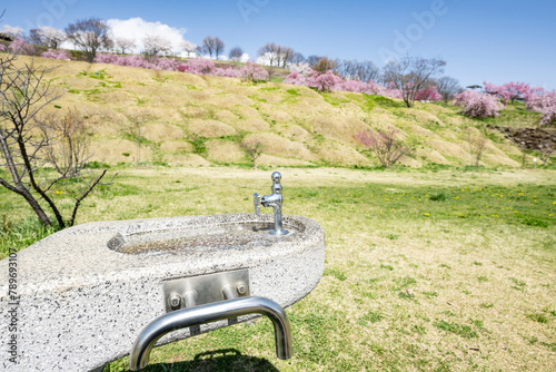 公園の水道水　飲み水