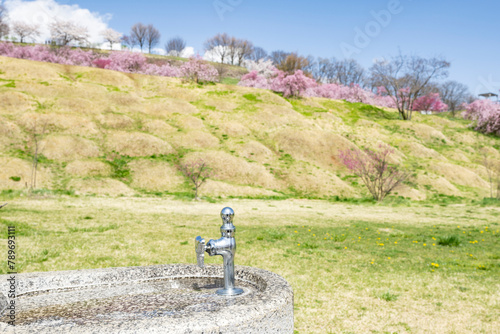 公園の水道水　飲み水