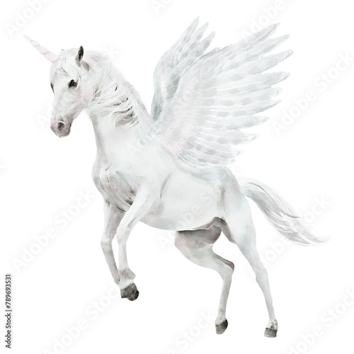 Pegasus png sticker, watercolor illustration, transparent background