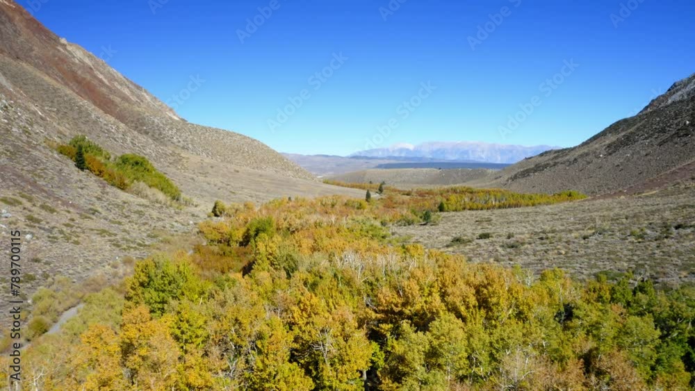 Aerial Forward Scenic View Of Rock Formations Against Clear Sky, Drone Flying Forward Over Trees Sunny Day - Mammoth Lakes, California Aerial Forward Scenic View Of Rock Formations Against Clear Sky, Drone Flying Forward Over Trees Sunny Day - Mammoth Lakes, California
