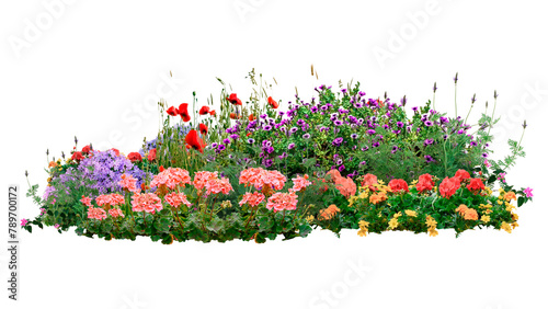 Schilderij op canvas Flower bush png sticker on transparent background