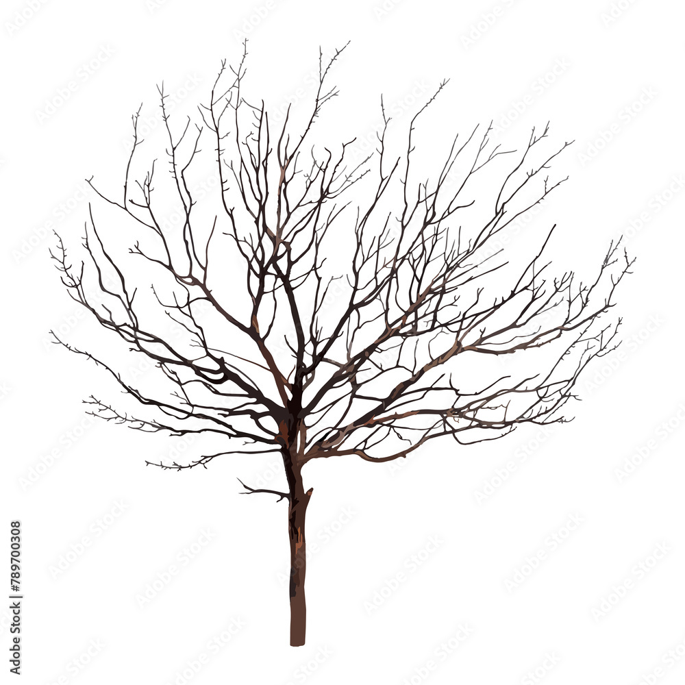 Dead tree png clipart, watercolor illustration on transparent background
