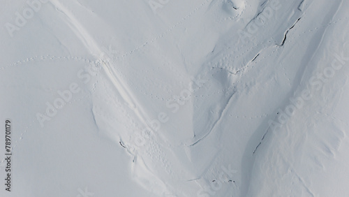 Wildlife Paw Prints on Snow-Covered Frozen Lake photo