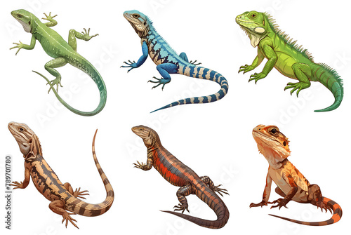 Collection of colorful reptiles on transparent background. Tropical lizards and iguanas clip art. Set of exotic pets character design. Cut out colorful elements for design.