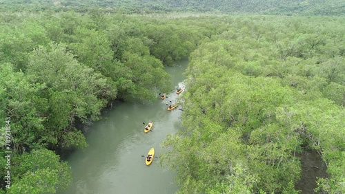 Kayaks in the sea between the mangroves of Saco do Mamanguá - Paraty, Rio de Janeiro, Brazil photo