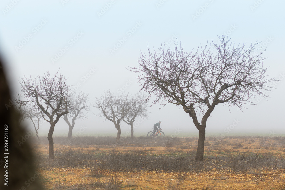 Misty Cycling