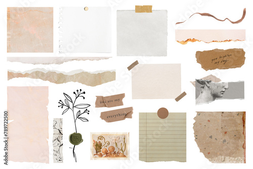 Torn paper png stickers, ephemera collage element set, transparent background photo