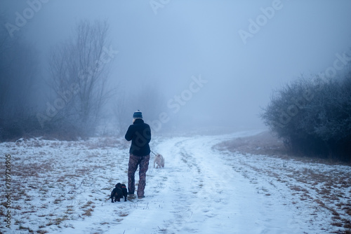 a woman in the winter foggy forest with dogs