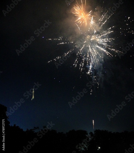 Fireworks over a statue photo