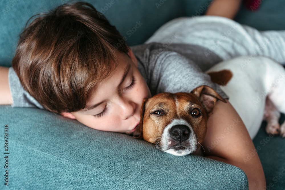 Serene Moment Between Boy and Dog on Lazy Afternoon Serene Moment Between Boy and Dog on Lazy Afternoon