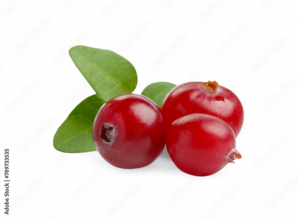 Fresh ripe cranberries with leaves isolated on white Fresh ripe cranberries with leaves isolated on white
