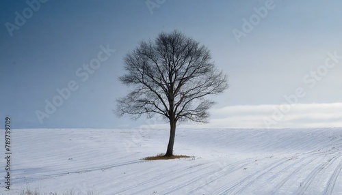 single tree stands in the center of a vast snowy field, its branches stark against the white landscape. The tree, stripped of leaves, appears resilient in the harsh winter environment