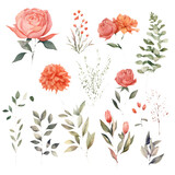 Delicate and detailed floral watercolor paintings