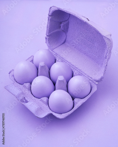 Monochromatic Purple Eggs in Carton photo