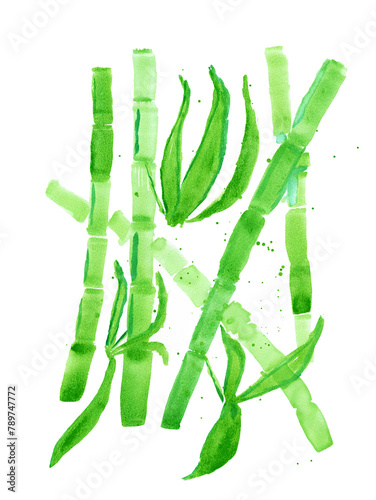 Abstract hand-drawn watercolor picture with bamboo