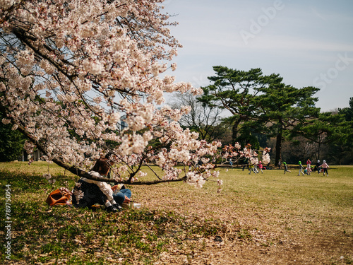 Cute young couple having a picnic under a cherry blossom tree 