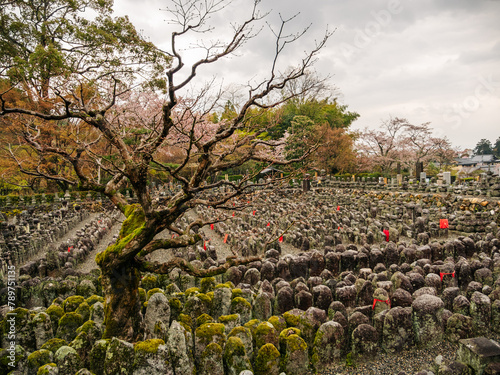 Field of stone statues at ancient Japanese temple photo