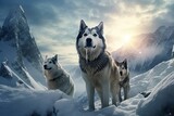 Three Siberian Huskies in A Snow Landscape