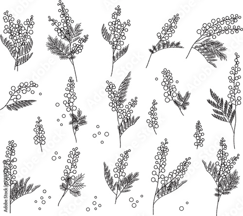 ミモザの花の白黒イラストセット