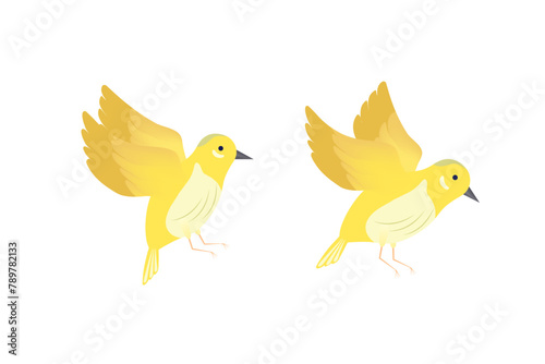 Vector illustration of two orioles