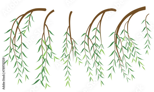 Vector illustration of willow branches
