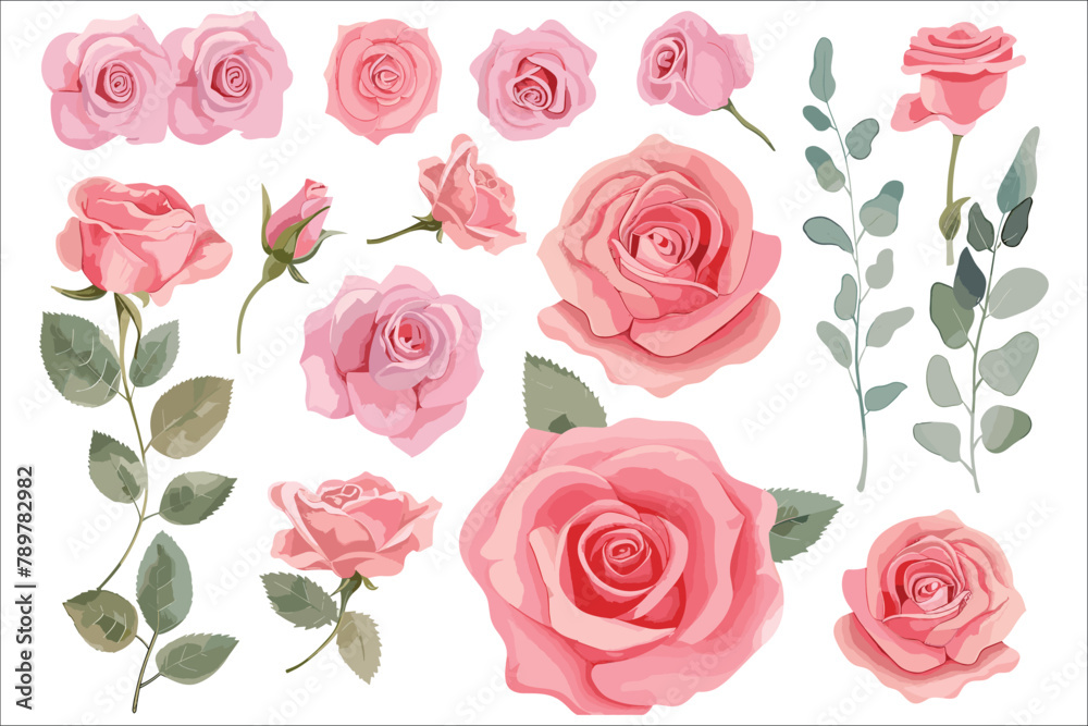 Set of floral elements, Beautiful wedding pink rose flowers watercolor elements, Set watercolor rose flowers, Vector watercolor rose, Pink rose flowers watercolor elements set