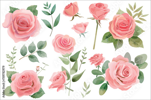 Set of floral elements, Beautiful wedding pink rose flowers watercolor elements, Set watercolor rose flowers, Vector watercolor rose, Pink rose flowers watercolor elements set