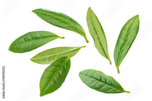 fresh Long Jing green tea leaves isolated on white background. photo