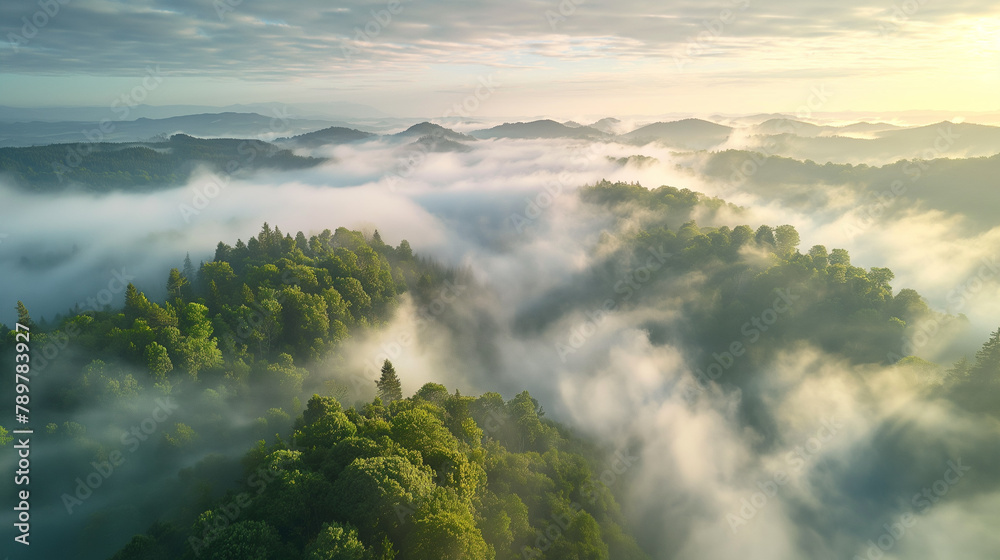 Sunrise Mist Over Lush Green Hills Aerial View Sunrise Mist Over Lush Green Hills Aerial View