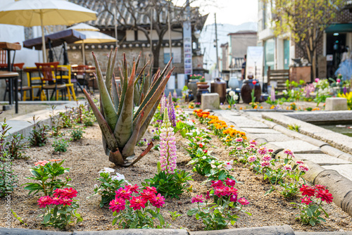 한국 서울 북촌한옥마을 전통건축 기와집 풍경