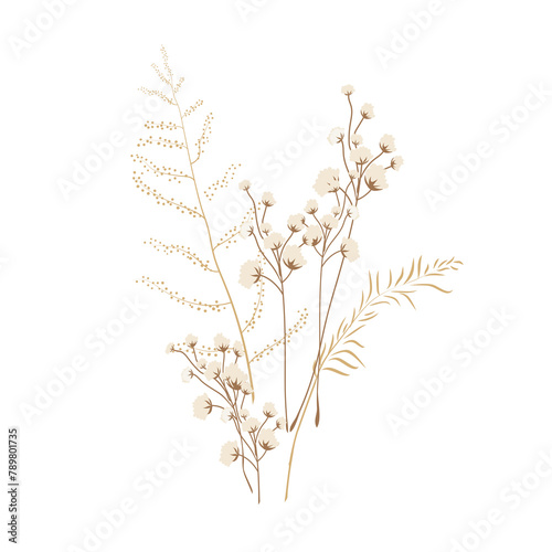 Aesthetic png dried flower illustration, transparent background photo