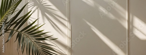 palm tree landscape backgound frame for texture 