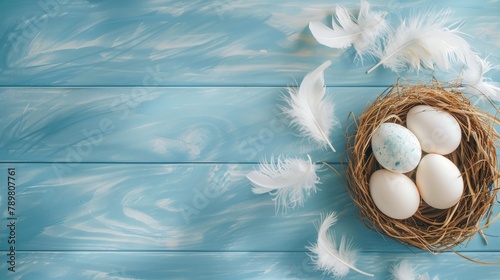 White and blue Easter eggs in a nest with white feathers on a blue wooden background.
