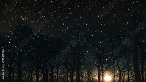 Silhouettes of the trees against night sky. 4k video animation photo