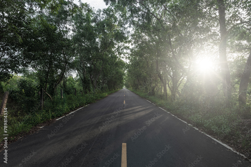 Beautiful asphalt road in the forest with sunset. Beautiful asphalt road in the forest with sunset.