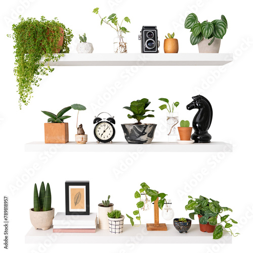 Png plant pots mockup on white shelf home decor