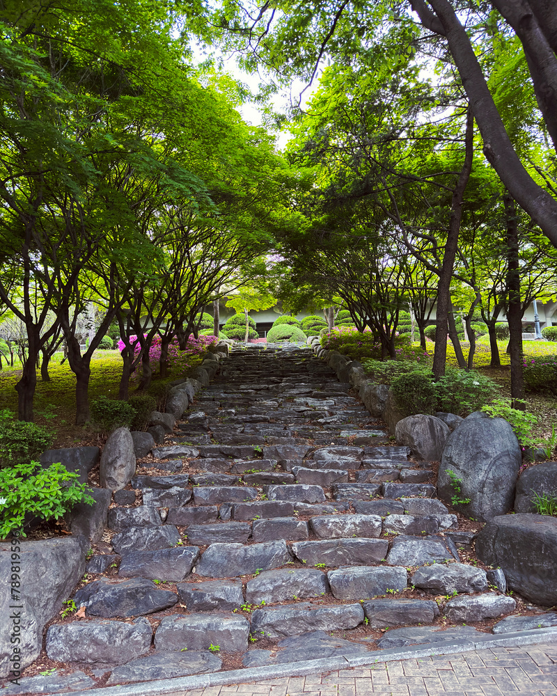 Obraz premium Walk in the park in Korea