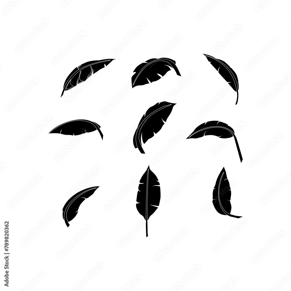 Fototapeta premium Banana leaf vector isolated on white background.