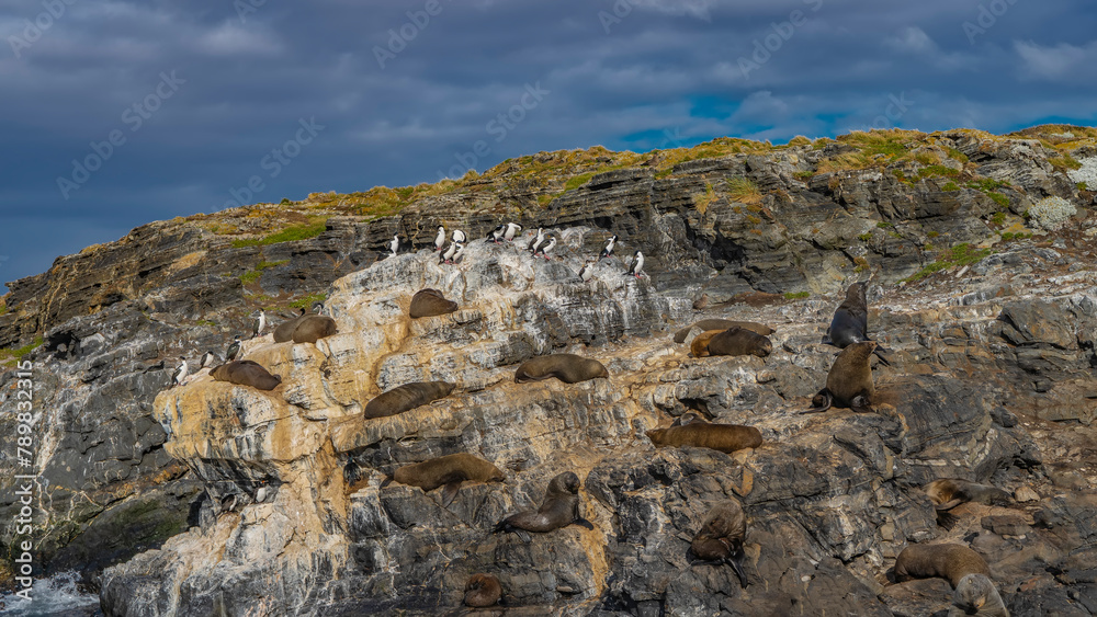 group of sea lions lies on the slope of a rocky islet. Cormorants are sitting on cliffs. Sparse grassy vegetation. Clouds in the blue sky. Isla de los lobos. Argentina. Patagonia. group of sea lions lies on the slope of a rocky islet. Cormorants are sitting on cliffs. Sparse grassy vegetation. Clouds in the blue sky. Isla de los lobos. Argentina. Patagonia.