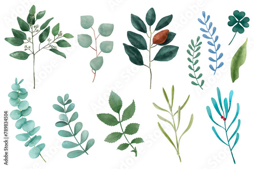 Green leaves sticker png watercolor illustration set