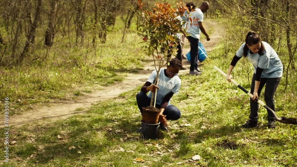 Team of climate change activists doing voluntary work to plant trees, protect natural forest habitat. Planting seedings for future generations, giving life and helping the earth. Camera B.