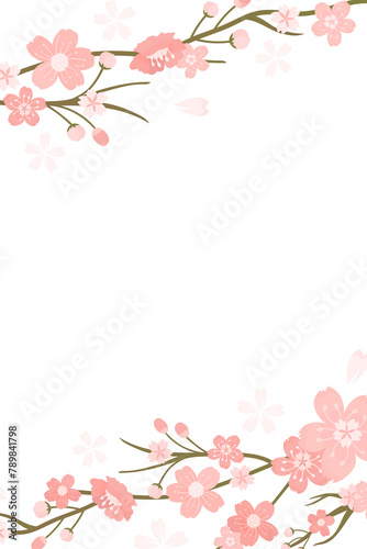 Sakura png  transparent background Hanami festival