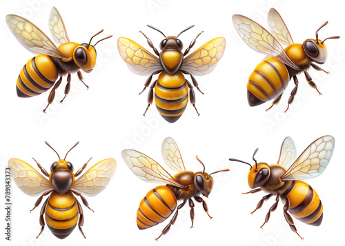 Realistic bee, PNG transparent image, AI generative © Charintip