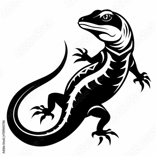 lizard on white background   Vector Illustration