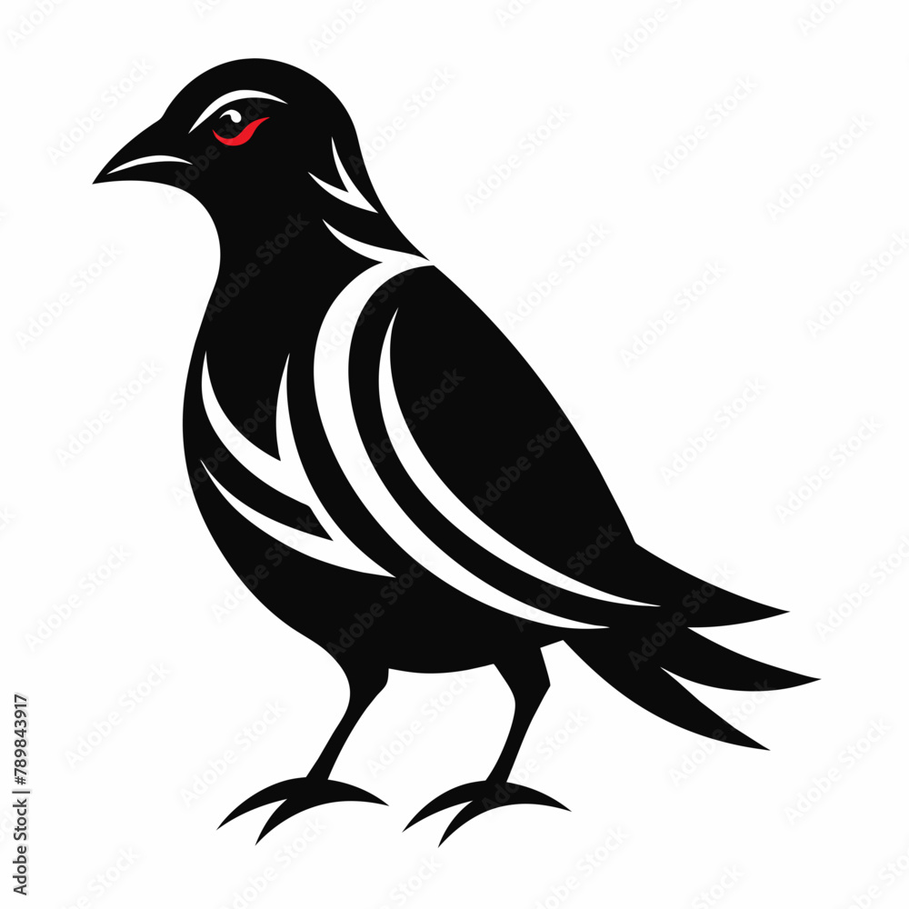 Fototapeta premium black and white bird Vector Illustration